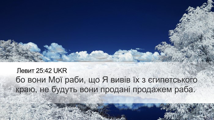 Левит 25:42 UKR Bible Verse Image