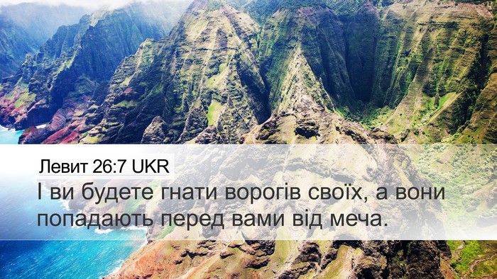 Левит 26:7 UKR Desktop Wallpaper - І ви будете гнати ворогів - Desktop Bible Verse Wallpaper
