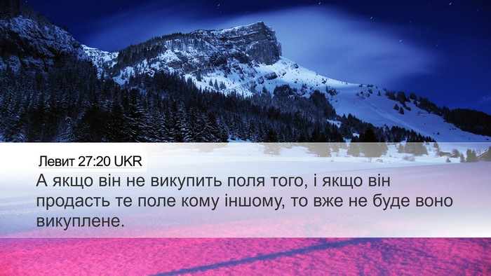 Левит 27:20 UKR Desktop Wallpaper - А якщо він не викупить поля - Desktop Bible Verse Wallpaper