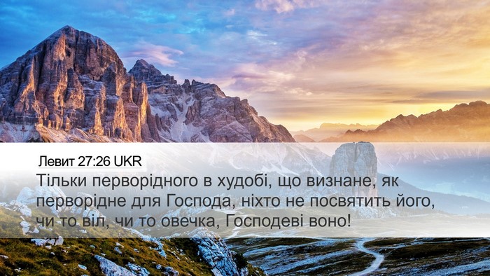 Левит 27:26 UKR Bible Verse Image