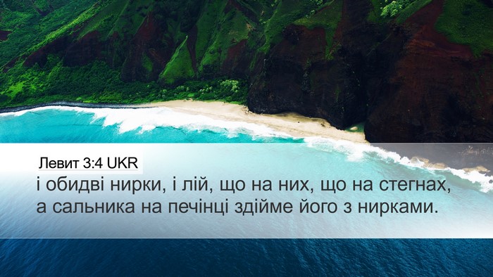 Левит 3:4 UKR Bible Verse Image