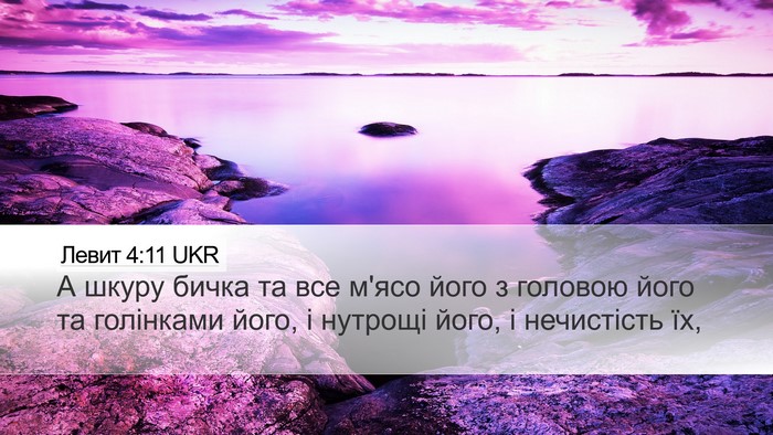 Левит 4:11 UKR Bible Verse Image