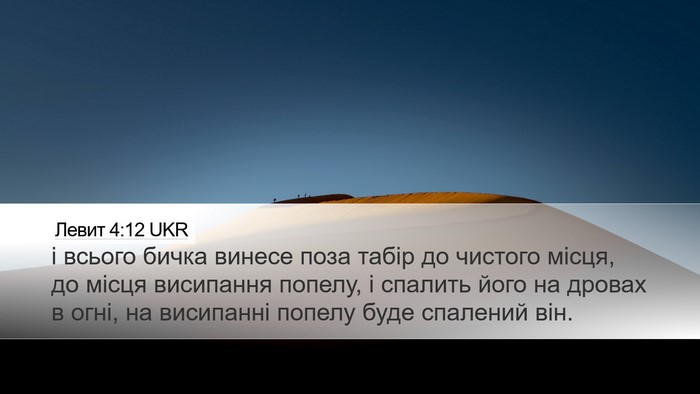 Левит 4:12 UKR Desktop Wallpaper - і всього бичка винесе поза - Desktop Bible Verse Wallpaper