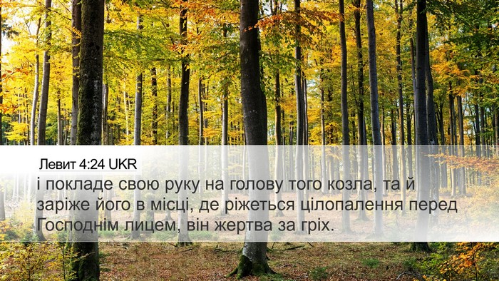 Левит 4:24 UKR Bible Verse Image