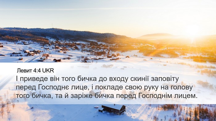Левит 4:4 UKR Desktop Wallpaper - І приведе він того бичка до - Desktop Bible Verse Wallpaper