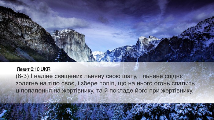 Левит 6:10 UKR Bible Verse Image