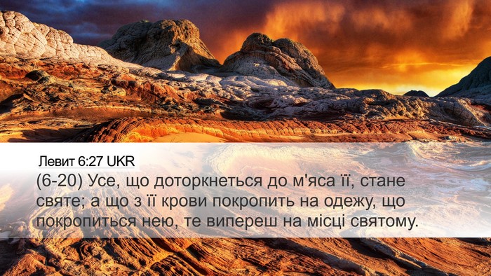 Левит 6:27 UKR Bible Verse Image