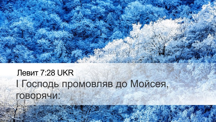 Левит 7:28 UKR Desktop Wallpaper - І Господь промовляв до - Desktop Bible Verse Wallpaper