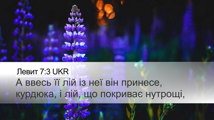 Левит 7:3 UKR Bible Verse Image