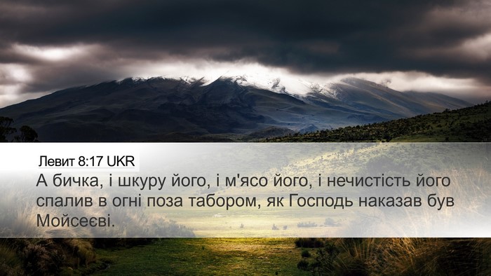 Левит 8:17 UKR Bible Verse Image