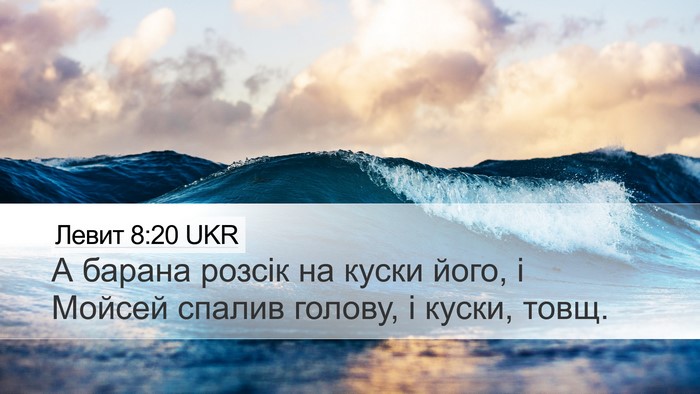 Левит 8:20 UKR Desktop Wallpaper - А барана розсік на куски - Desktop Bible Verse Wallpaper