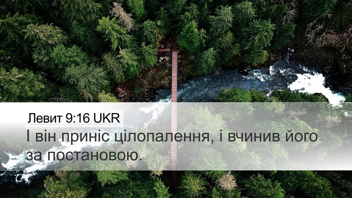 Левит 9:16 UKR Desktop Wallpaper - І він приніс цілопалення, і - Desktop Bible Verse Wallpaper