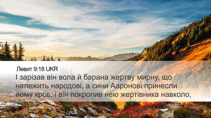 Левит 9:18 UKR Bible Verse Image