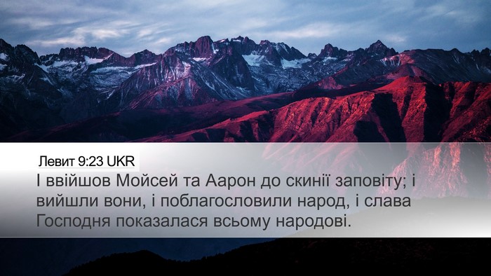 Левит 9:23 UKR Bible Verse Image