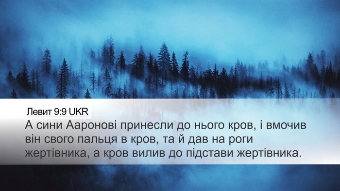 Левит 9:9 UKR Bible Verse Image