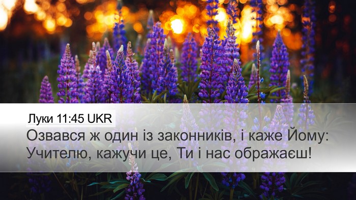 Луки 11:45 UKR Bible Verse Image