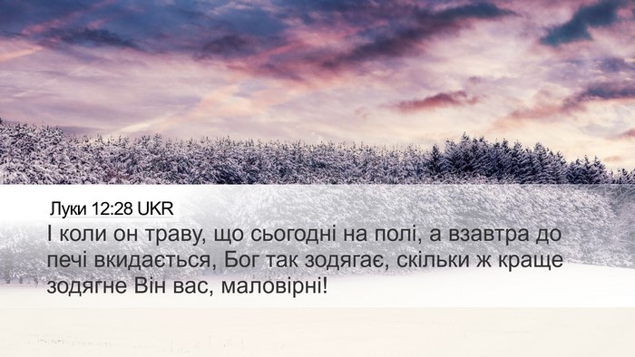 Луки 12:28 UKR Bible Verse Image