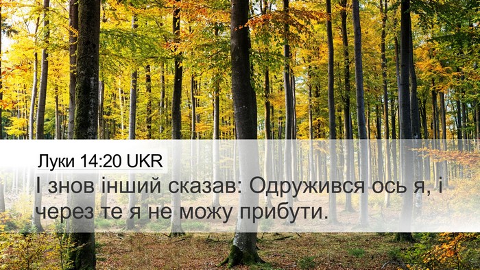 Луки 14:20 UKR Desktop Wallpaper - І знов інший сказав: - Desktop Bible Verse Wallpaper