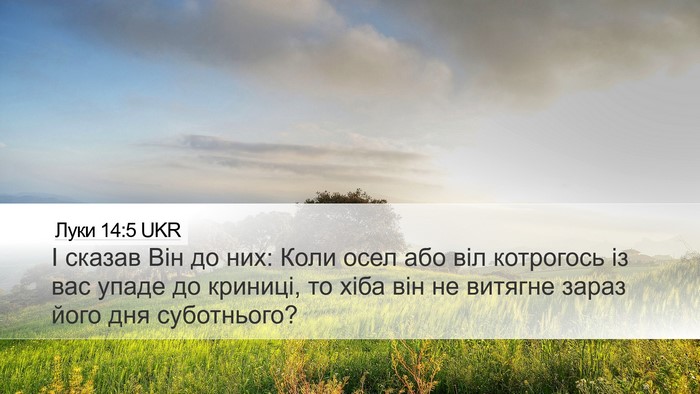 Луки 14:5 UKR Bible Verse Image
