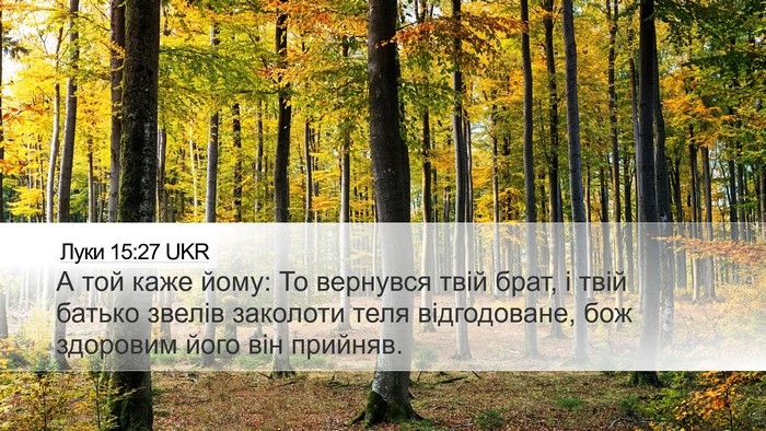 Луки 15:27 UKR Desktop Wallpaper - А той каже йому: То - Desktop Bible Verse Wallpaper