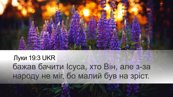 Луки 19:3 UKR Desktop Wallpaper - бажав бачити Ісуса, хто - Desktop Bible Verse Wallpaper