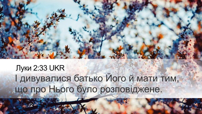Луки 2:33 UKR Bible Verse Image