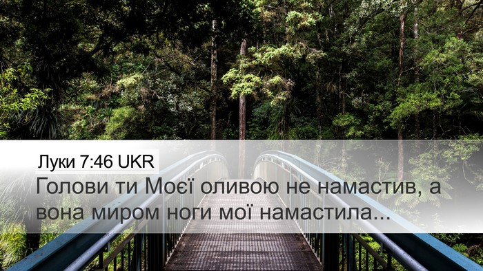 Луки 7:46 UKR Bible Verse Image