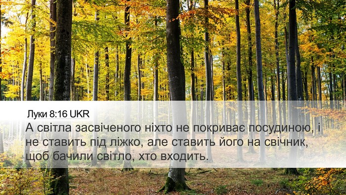 Луки 8:16 UKR Desktop Wallpaper - А світла засвіченого ніхто - Desktop Bible Verse Wallpaper