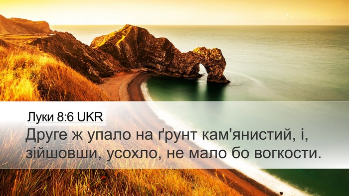 Луки 8:6 UKR Desktop Wallpaper - Друге ж упало на ґрунт - Desktop Bible Verse Wallpaper
