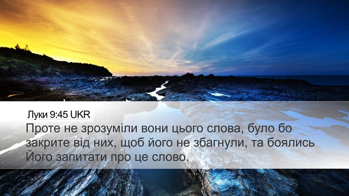 Луки 9:45 UKR Bible Verse Image