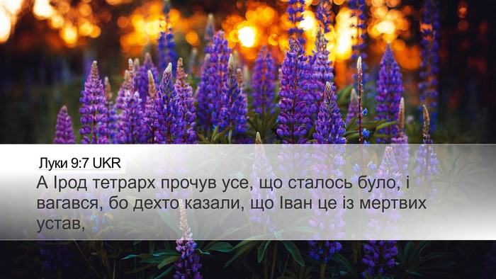 Луки 9:7 UKR Desktop Wallpaper - А Ірод тетрарх прочув усе, - Desktop Bible Verse Wallpaper