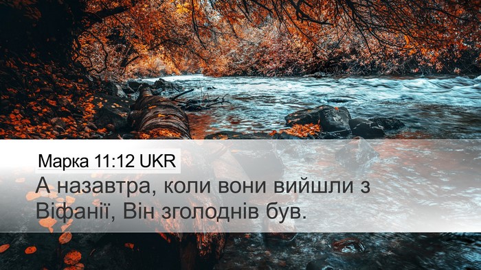 Марка 11:12 UKR Bible Verse Image
