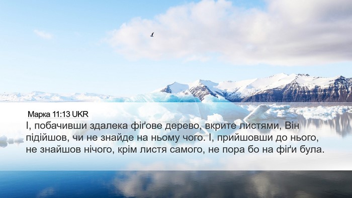 Марка 11:13 UKR Desktop Wallpaper - І, побачивши здалека - Desktop Bible Verse Wallpaper