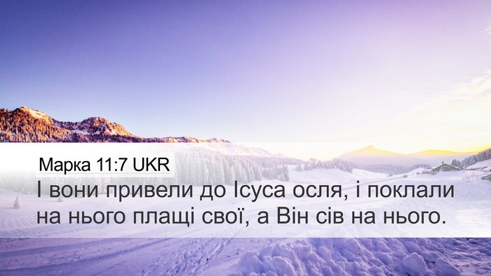 Марка 11:7 UKR Desktop Wallpaper - І вони привели до Ісуса - Desktop Bible Verse Wallpaper