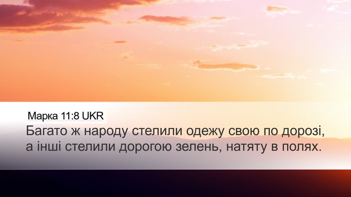 Марка 11:8 UKR Bible Verse Image