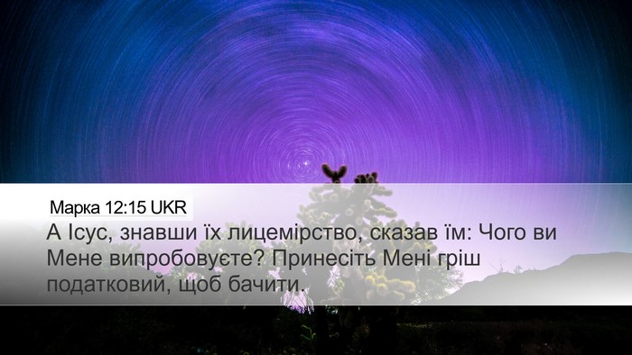 Марка 12:15 UKR Bible Verse Image