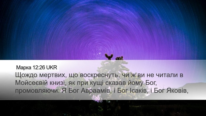 Марка 12:26 UKR Bible Verse Image