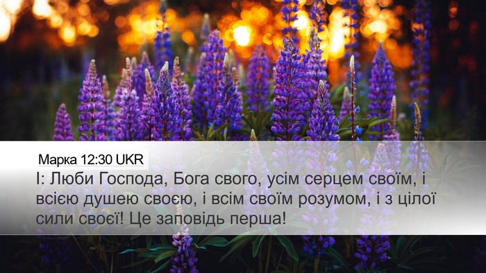 Марка 12:30 UKR Bible Verse Image