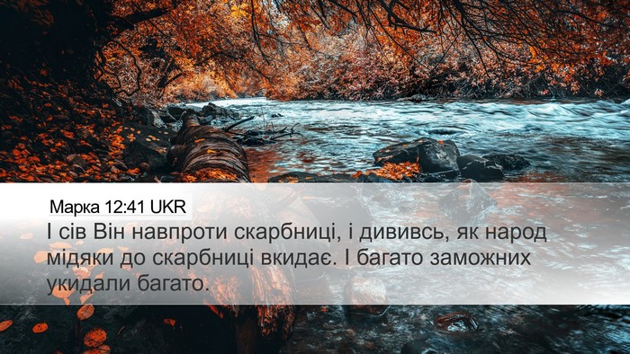 Марка 12:41 UKR Bible Verse Image