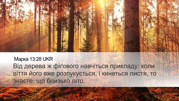 Марка 13:28 UKR Bible Verse Image