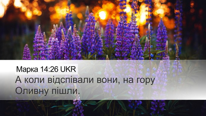 Марка 14:26 UKR Bible Verse Image