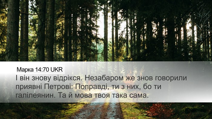 Марка 14:70 UKR Bible Verse Image