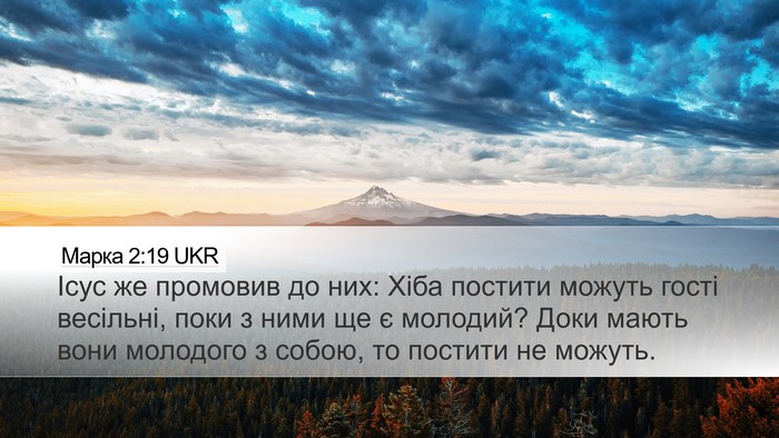 Марка 2:19 UKR Bible Verse Image