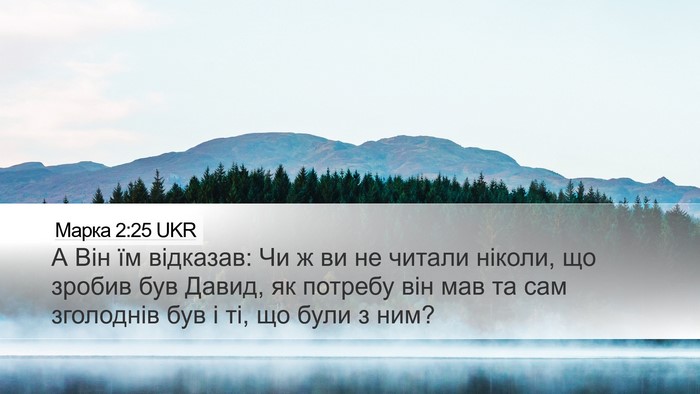 Марка 2:25 UKR Bible Verse Image