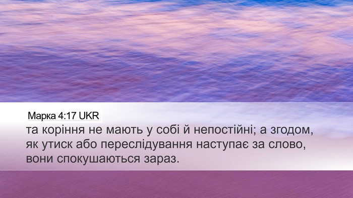 Марка 4:17 UKR Desktop Wallpaper - та коріння не мають у собі - Desktop Bible Verse Wallpaper