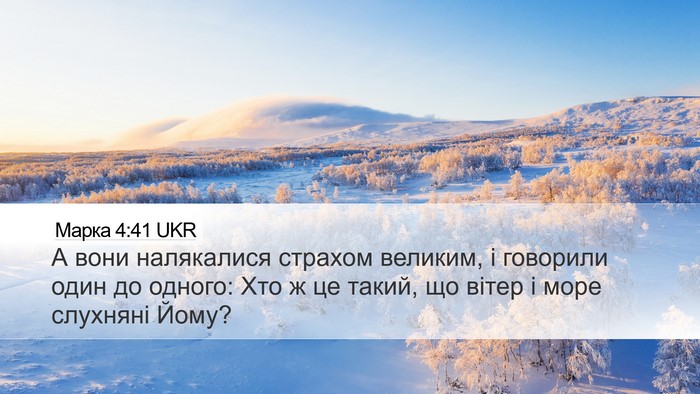Марка 4:41 UKR Bible Verse Image