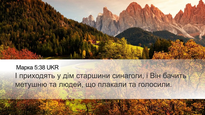 Марка 5:38 UKR Bible Verse Image