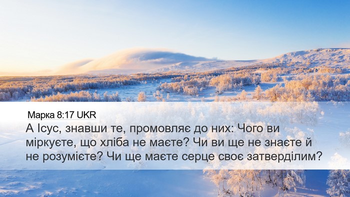 Марка 8:17 UKR Bible Verse Image