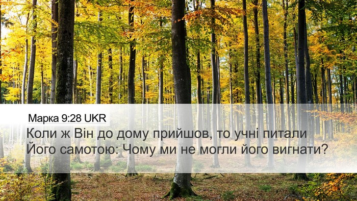 Марка 9:28 UKR Bible Verse Image