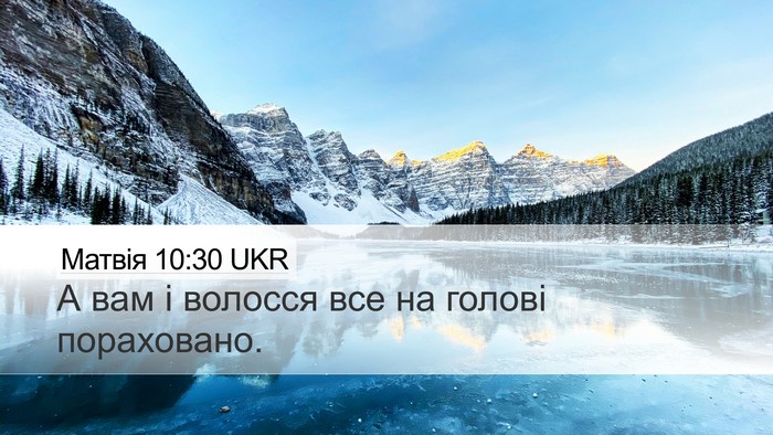 Матвія 10:30 UKR Bible Verse Image